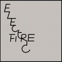 ELECTRIC FIRE