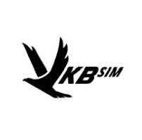 VKBSIM