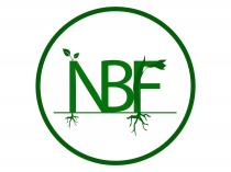 NBF