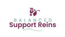 BALANCED SUPPORT REINS