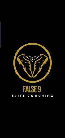 FALSE 9 ELITE COACHING