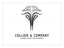 COLLIER & COMPANY LANDSCAPE DESIGNERS