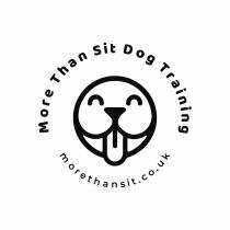 More Than Sit Dog Training