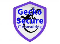 GECKO SECURE IT CONSULTING
