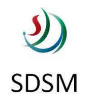 SDSM