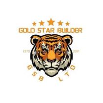 GOLD STAR BUILDER ESTD 2001 GSB LTD