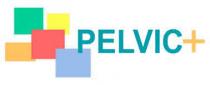 PELVIC+