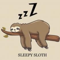 ZZZ SLEEPY SLOTH