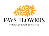 FAYS FLOWERS FLOWER GROWERS SINCE 1952