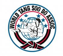 WORLD TANG SOO DO ASSOC