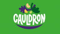 CAULDRON