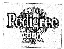 Pedigree chum