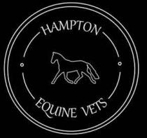 HAMPTON EQUINE VETS