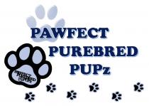 PAWFECT PUREBRED PUPz