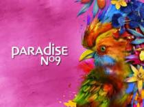 PARADİSE NO9