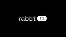 rabbit r1.