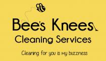 BEE'S KNEES CLEANING SERVICES CLEANING FOR YOU IS MY BUZZNESS