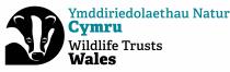 YMDDIRIEDOLAETHAU NATUR CYMRU WILDLIFE TRUSTS WALES