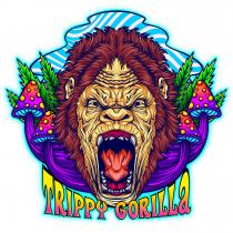 TRIPPY GORILLA