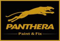 PANTHERA PAINT & FIX