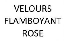 VELOURS FLAMBOYANT ROSE