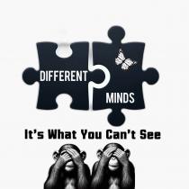 DIFFERENT MINDS IT'S WHAT YOU CAN'T SEE