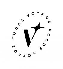 V FOODS VOYAGE FOODS VOYAGE