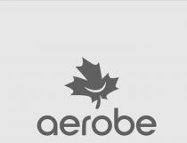 aerobe