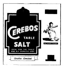 Cerebos Table Salt