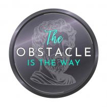 THE OBSTACLE IS THE WAY