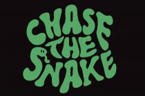 CHASE THE SNAKE