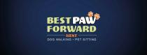 BEST PAW FORWARD KENT DOG WALKING . PET SITTING