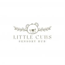 LITTLE CUBS SENSORY HUB