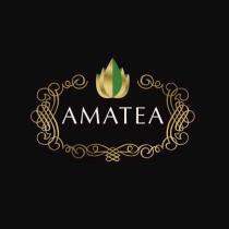 AMATEA