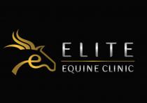 ELITE EQUINE CLINIC