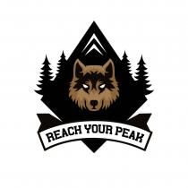 REACH YOUR PEAK