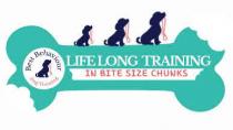 Best Behaviour Dog Training Lifelong Training in bitesize chunks