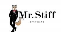 MR. STIFF STAY HARD