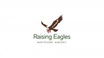 RAISING EAGLES MONTESSORI NURSERY