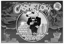 RICH DAD CASHFLOW HOW TO GET OUT OF THE RATRACE