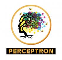 PERCEPTRON