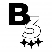 B 3