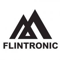 FLINTRONIC