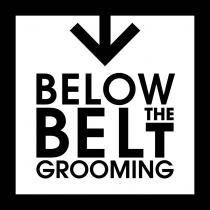 BELOW THE BELT GROOMING