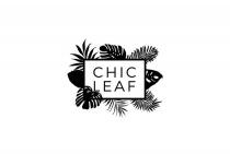 CHIC LEAF