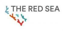 THE RED SEA