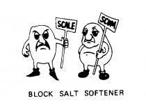 SCALE SCUM BLOCK SALT SOFTENER