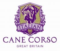 ITALIAN ICCGB ICCGB CANE CORSO GREAT BRITAIN