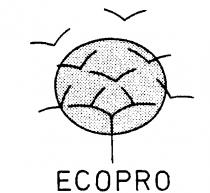 ECOPRO