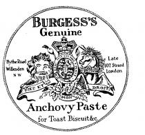 BURGESS'S Genuine Anchovy Paste